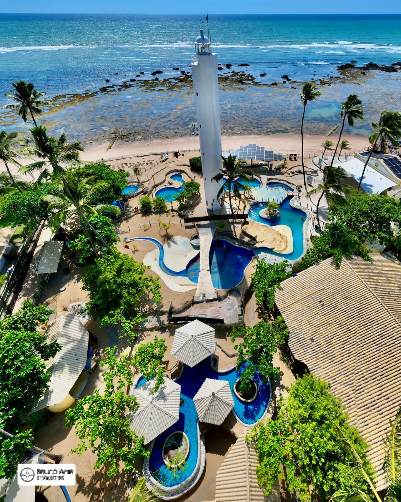 https://bahiatoureceptivo.com.br/services/uploads/_original/passeio-praia-do-forte-949020.jpg