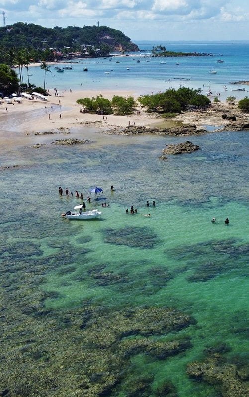 https://bahiatoureceptivo.com.br/services/uploads/_original/transfer-terrestre-morro-de-sao-paulo-saindo-do-litoral-norte-487181.jpg
